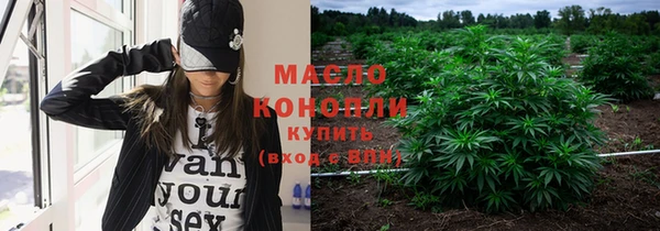 метадон Няндома