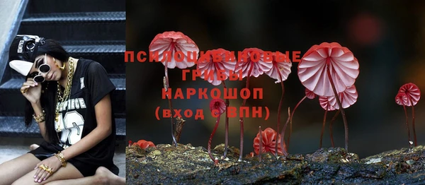 Альфа ПВП Михайлов