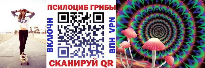 даркнет телеграм  Южа  Псилоцибиновые грибы MAGIC MUSHROOMS 