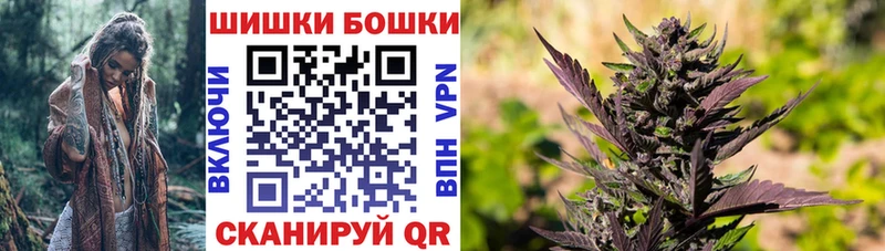 закладка Южа Бошки Шишки ГИДРОПОН